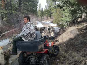 Quinault Alaskan Malamutes Riding With The Team