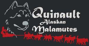 We support Quinault Alaskan Malamutes' Run For The Red Lantern Iditarod 2014!